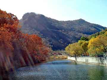 °c饭饭